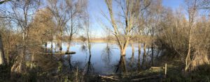 Überschwemmte Sumpfwieden entlang LR4/LR6 bei Limburgerhof; parallen zur B9. Die Regenfälle in November und Dezember 2023 haben die Sumpfwieden unter Wasser gesetzt.
